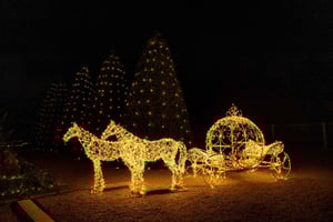 Lumières en Seine: biglietto libertà