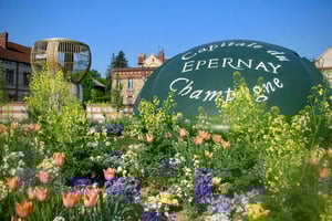 Moet et Chandon Veuve Clicquot Pommery Частная экскурсия по шампанскому