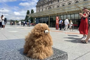 Orsay Museum: Museum Ticket Entry & 2h Private Guided Tour
