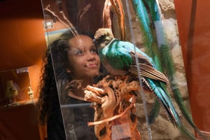 Parijs: Toegangskaartje voor het Chocolademuseum