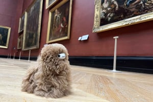 Entreebewijs Louvre Museum en rondleiding met gids