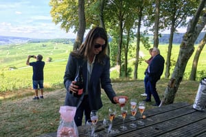 Paris: Private Day Trip to Champagne with 8 Tastings & Lunch