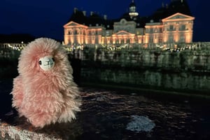 Paris: Vaux-le-Vicomte Privat guidet tur