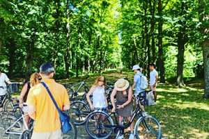 Versailles: Golfcarts & Bikes Guided Tour, Hamlet+Fountains