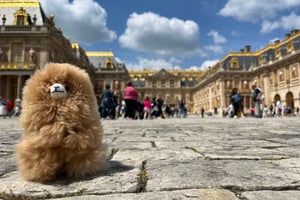 Versailles Privat halvdagstur med luksusbil