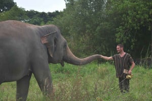 バンコク発：パタヤの倫理的象保護区への日帰り旅行