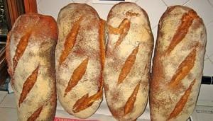 ItalBread