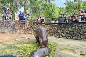 Pattaya: Khao Kheow Zoo & J-Park Japanese Village Day Trip