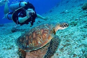 Pattaya: Snorkling eller begynderdykning med frokost
