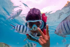 Samaesarn : Finding Nemo Snorkeling Tour Private speedboat