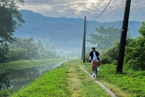 George Town, Penang: Fietsen op het platteland van Maleisië