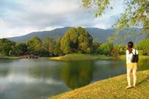 Penang: Private Transfer to Ipoh with Stops & Driver