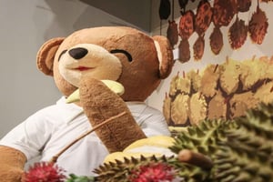 Penang: Teddyville Museum Entry Ticket