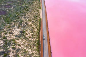 2 päivän retki Pink Lakeen, Pinnaclesiin ja hiekkadyyneille Coral Coastilla