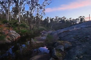 Tusmørketur i Darling Range