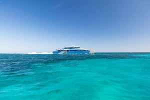 Vanuit Perth of Fremantle: Rottnest Island Zeevruchten Cruise