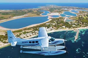 From Perth: Quokkas Delight Tour