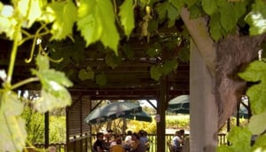 Jane Brook Estate Wines