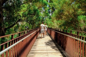 Perth: Kings Park Botanicals & Beyond begeleide wandeling