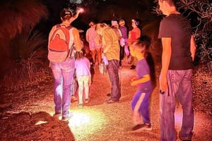 Perth: Nocturnal Night Stalk Tour with WA Wildlife Encounter