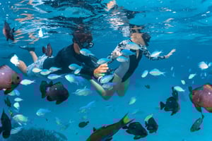 Perth-Exmouth 6 päivän Coral Coaster yhdensuuntainen matka Perthistä Exmouthiin