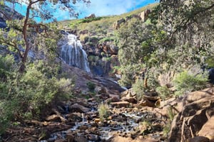 Perth: Waterfalls, Wildflowers & Wandoo Hiking Experience
