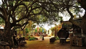 Taylor's Art and Coffee House