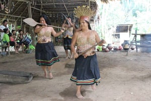 2D/1N Tour: Sunset in the Amazon Rainforest