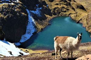 4-dages trek fra Lares til Machu Picchu