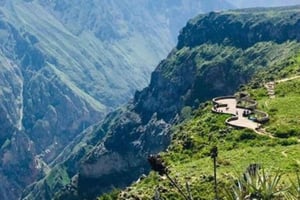 Arequipa: Wycieczka do Kanionu Colca kończąca się w Puno