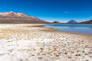 Arequipa: Salinas Lagoon Tour Offer Price