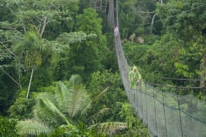 Canopy Tower, Zipline, Kajak, och Monkey Island ...