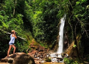 Valle de Chanchamayo