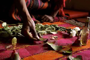 Odczyt liści koki: ceremonia przodków - świątynia La Luz Retreat