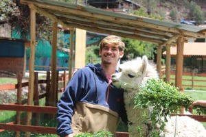 Cochahuasi Animal Sanctuary Ticket + Special Tour