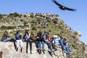 Colca Canyon: 2-tägige Tour von Arequipa nach Puno