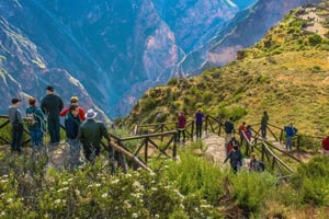 Excursão de um dia ao Canyon do Colca saindo de Arequipa Partida 5:00 am