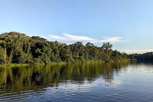Cusco: 2-dagers dyrelivstur i Amazonas-regnskogen