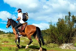 Cusco: Rundtur til de 'fire ruiner' - ridetur