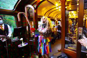 Куско: Однодневная поездка в Мачу-Пикчу на поезде-обсерватории Vistadome