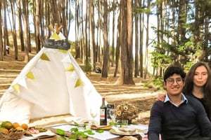 クスコQenqoユーカリの森＋アンデスのピクニック＋絵画