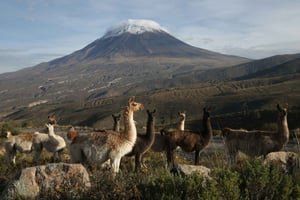 Wycieczka do rezerwatu narodowego Salinas i Aguada Blanca