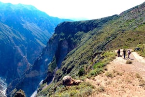 Da Arequipa Trek: 2 giorni di trekking nel Canyon del Colca