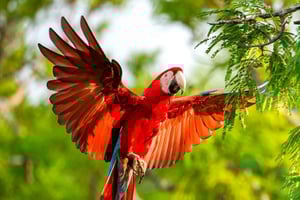 De Cusco: Excursão Puerto Maldonado de 4 dias - Lago Sandoval