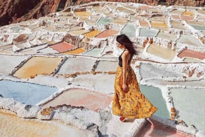 Fra Cusco: Den hellige dal og Machu Picchu 2-dagers tur med tog