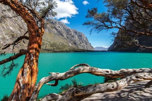 Depuis Huaraz : Lagune de Llanganuco + Callejon de Huaylas