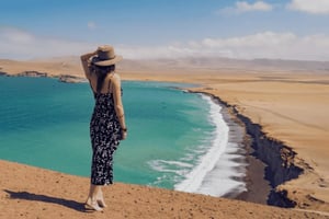 From Ica: Ballestas Islands and Paracas Tour - shared service