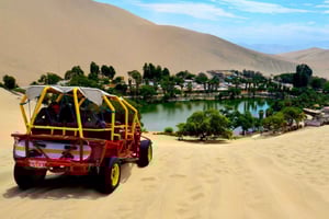 Från Ica: Dagsutflykt till Paracas och Huacachina Oasis med ...
