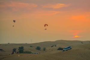 Z Limy: paralotniarstwo w rezerwacie + Wyspy Ballestas + lekcja ceviche