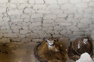 Z Nazca: Wycieczka po cmentarzu Chauchilla i warsztaty rzemieślnicze